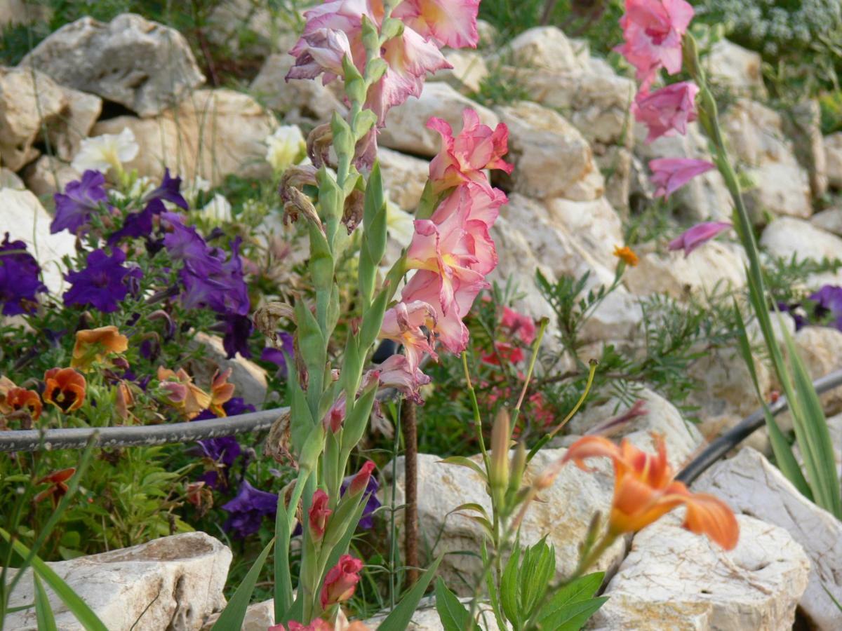 Angela Pool Gardens&sea Views *